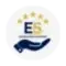 Logo Excellence Services Sarl